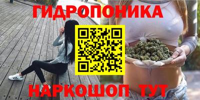 a pvp Бузулук