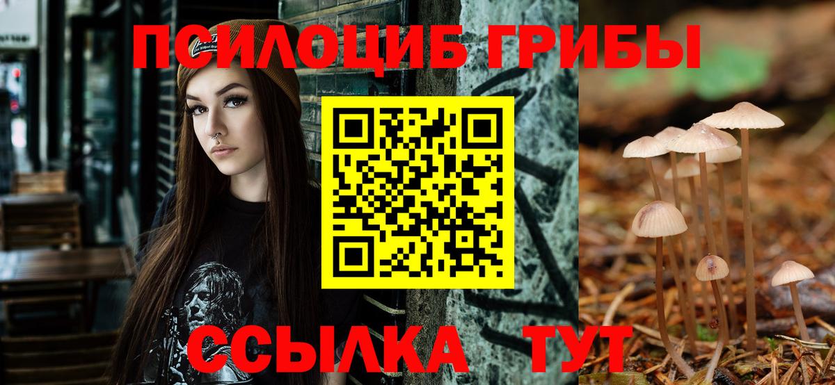 Галлюциногенные грибы Psilocybine cubensis Ржев