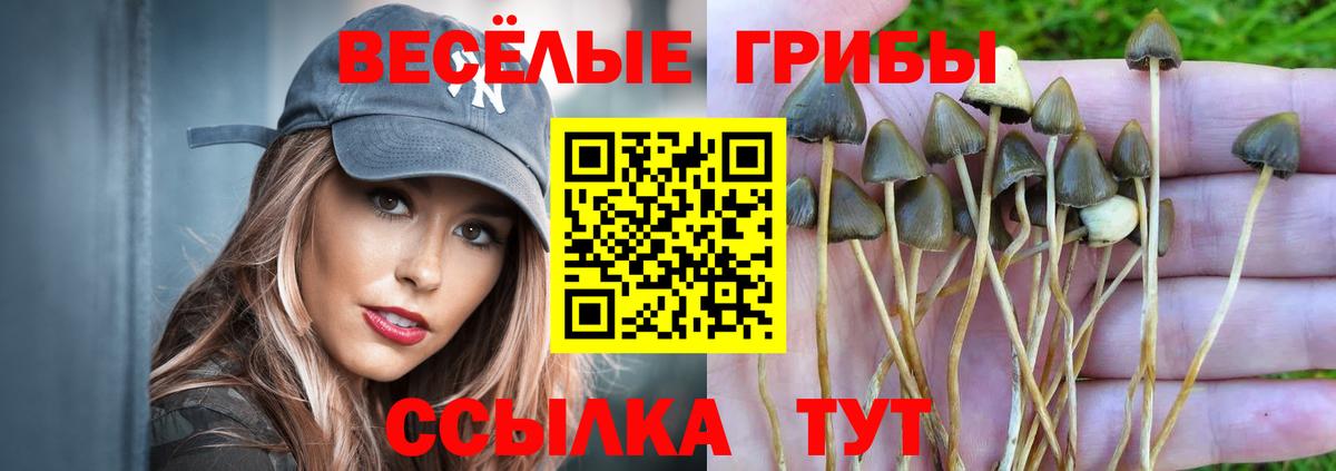 Ржев  Галлюциногенные грибы MAGIC MUSHROOMS  Галлюциногенные грибы GOLDEN TEACHER  Вход с VPN 